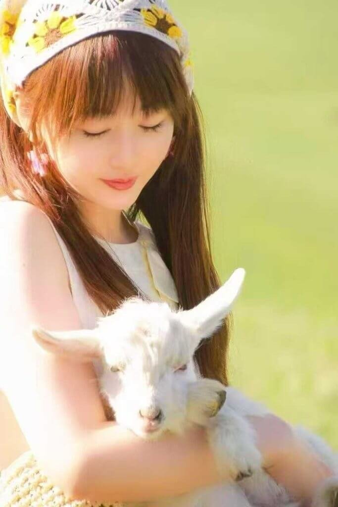与羊羔合影