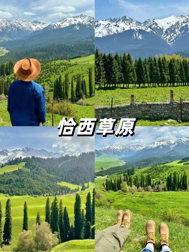 恰西草原
