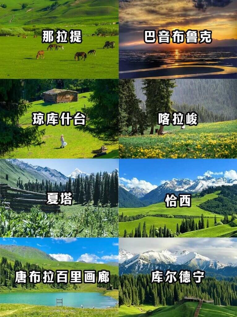 伊犁八大草原