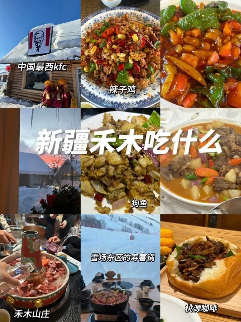 禾木美食