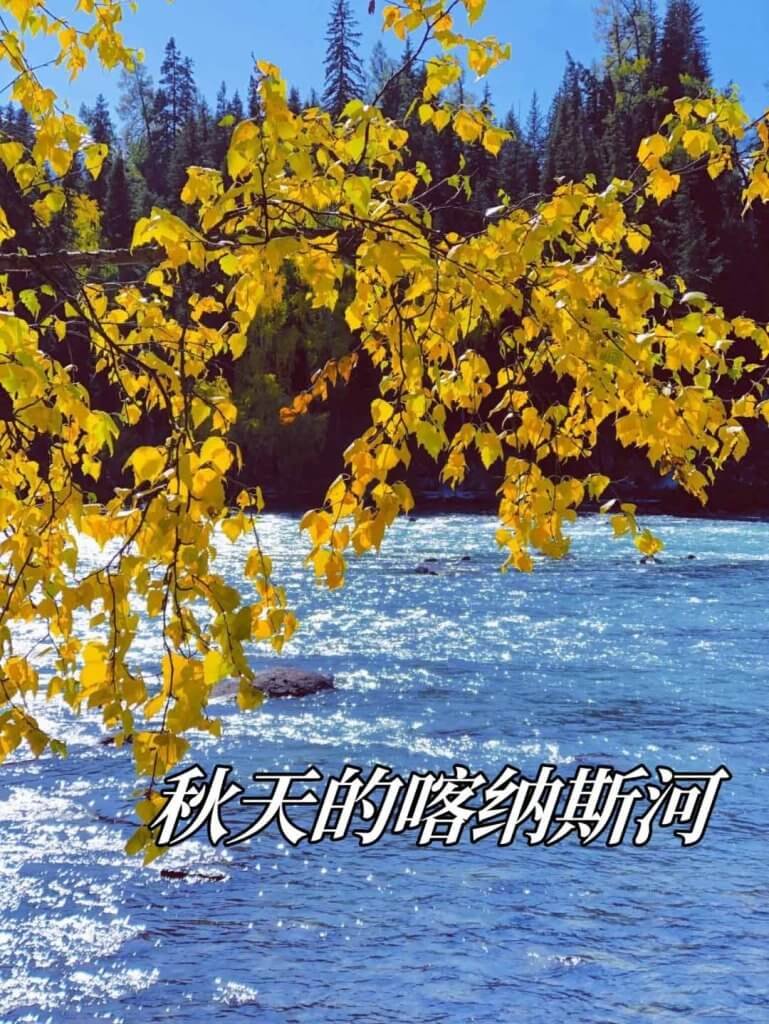 喀纳斯河初秋