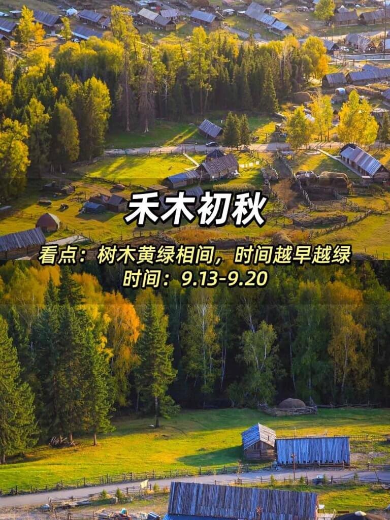 禾木初秋
