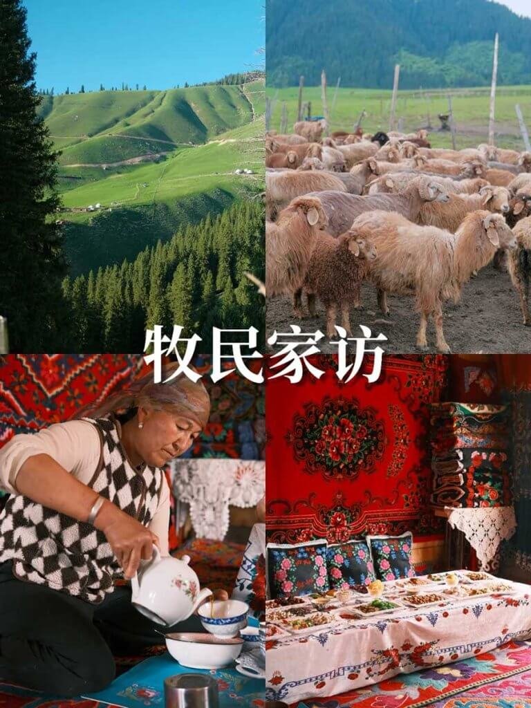 琼库什台体验一次牧民生活！