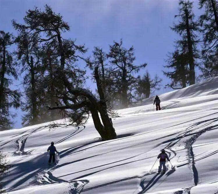 阿禾公路-野卡峡野雪公园