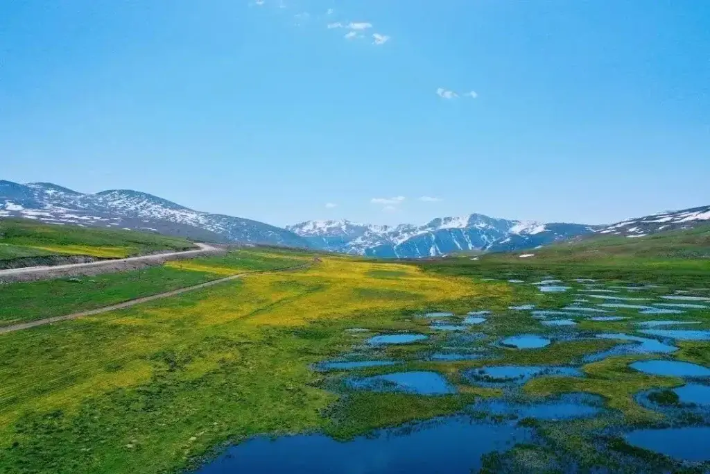 阿禾公路-乌希里克湿地