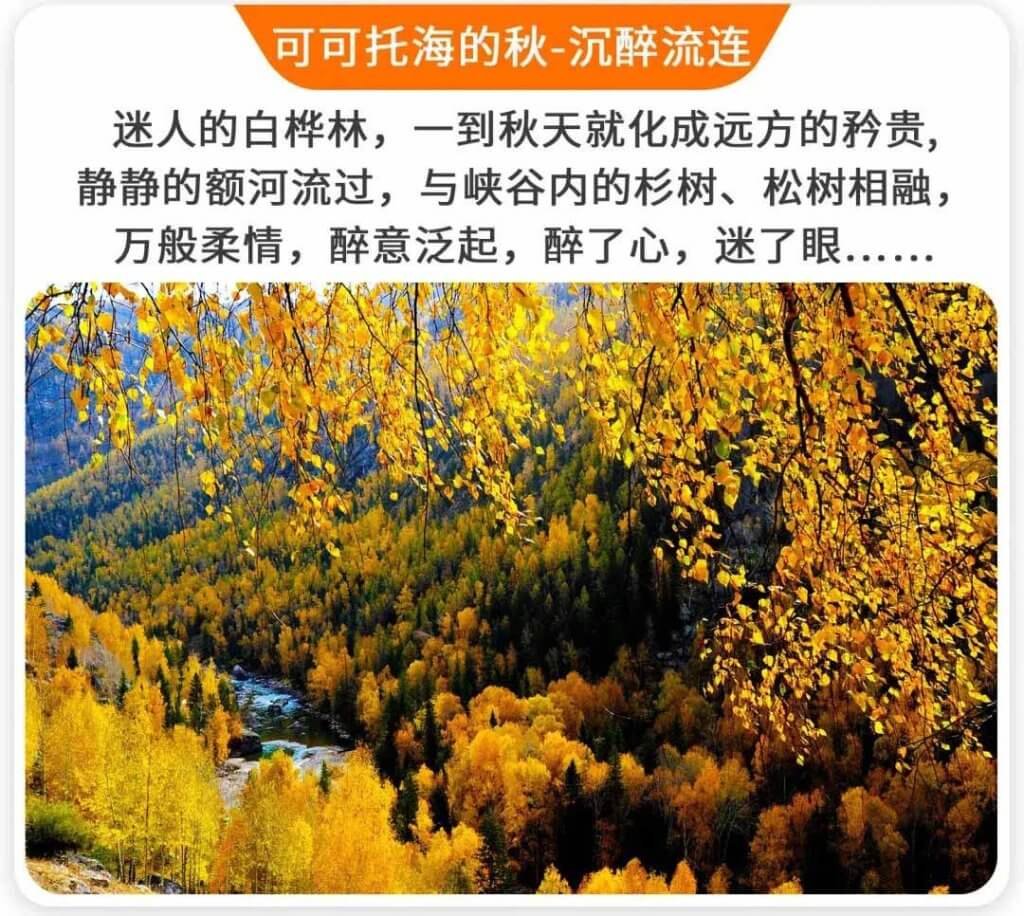 可可托海的秋色