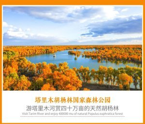 塔里木胡杨林国家森林公园