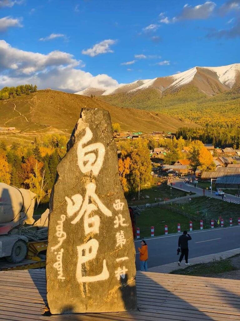 秋天白哈巴