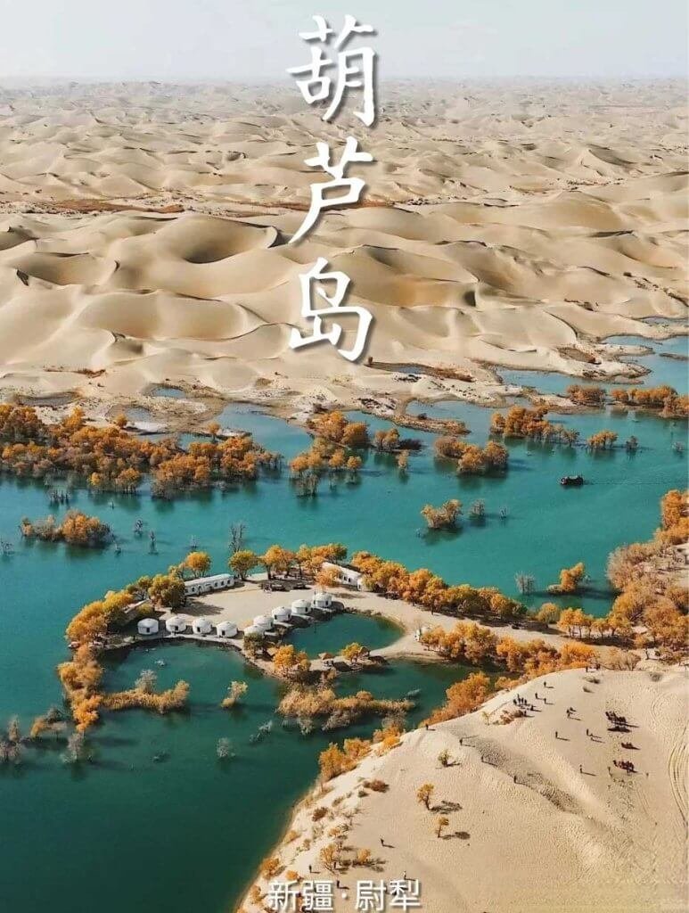 葫芦岛胡杨林