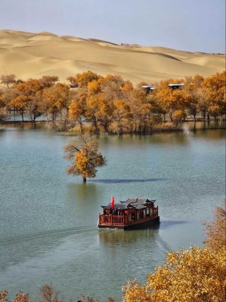 葫芦岛胡杨林
