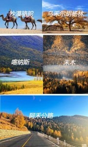 阿勒泰秋色 7 天 6 晚精华景点