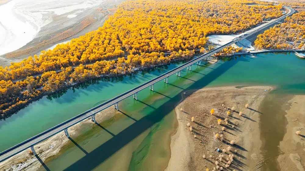 139胡杨秘境公路大桥