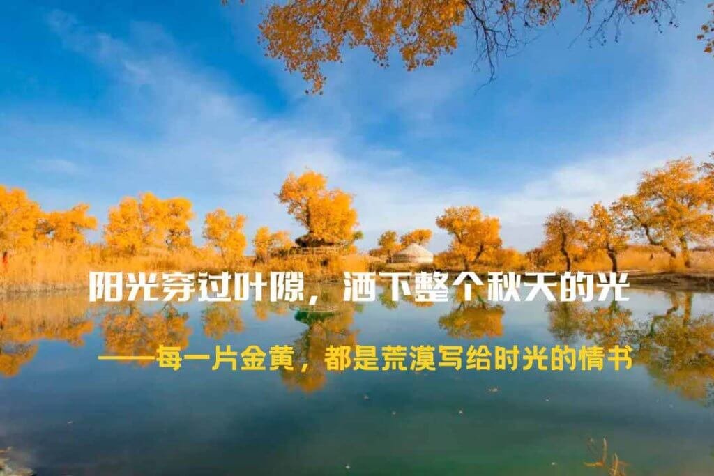 南疆胡杨林