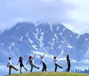 伊犁恰西旱地拔葱