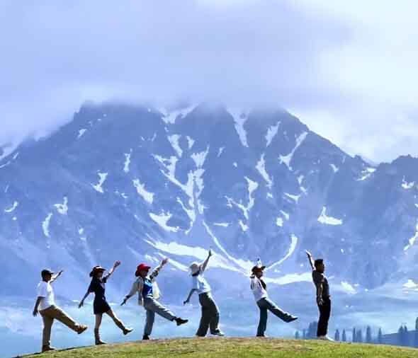 伊犁恰西旱地拔葱