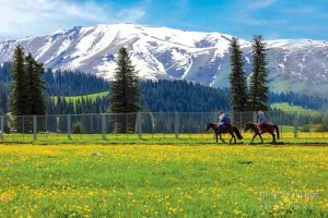 那拉提空中草原骑马