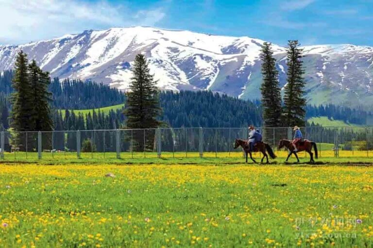 那拉提空中草原骑马
