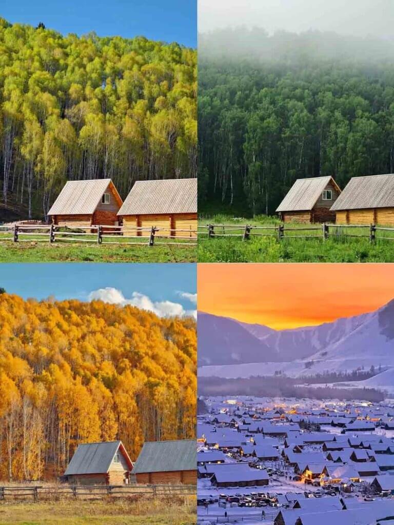 阿勒泰的一年四季