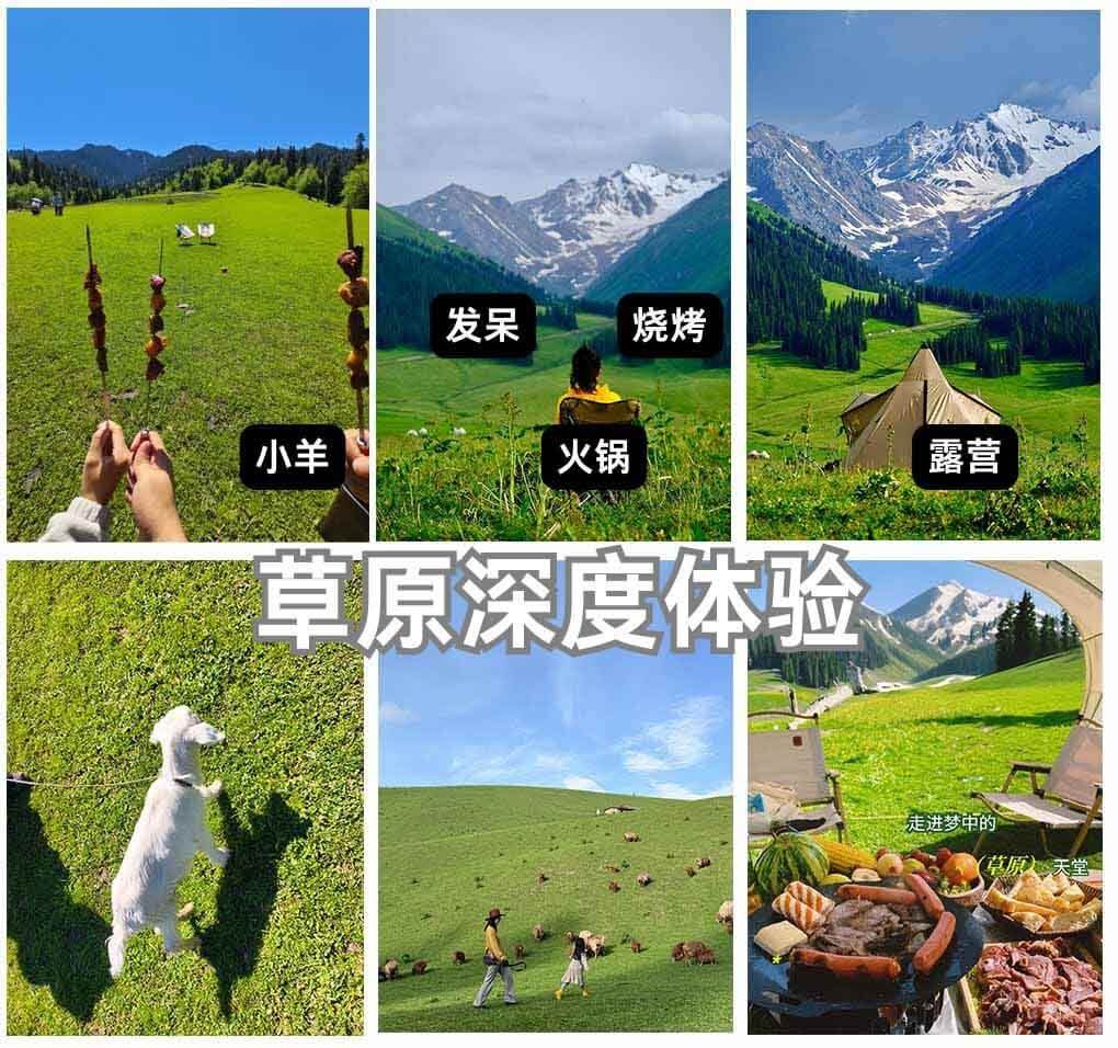 草原深度体验 
